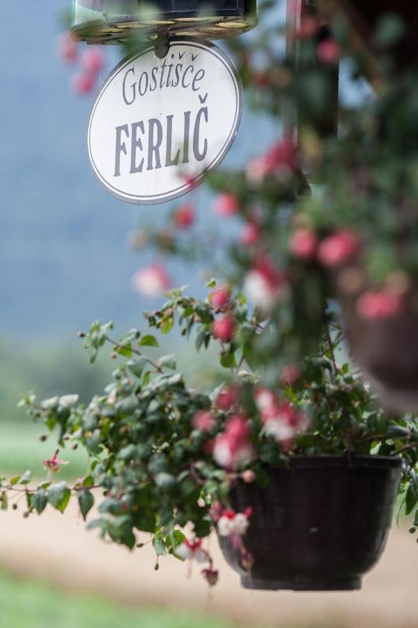 Gostilna In Prenocisca Ferlic Hotel Braslovce Exterior foto